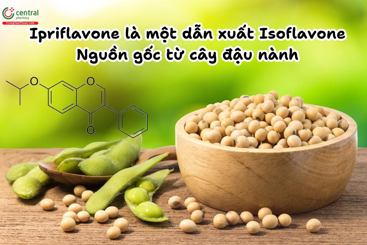 Ipriflavone là một dẫn xuất của Isoflavone thuộc nhóm flavonoid