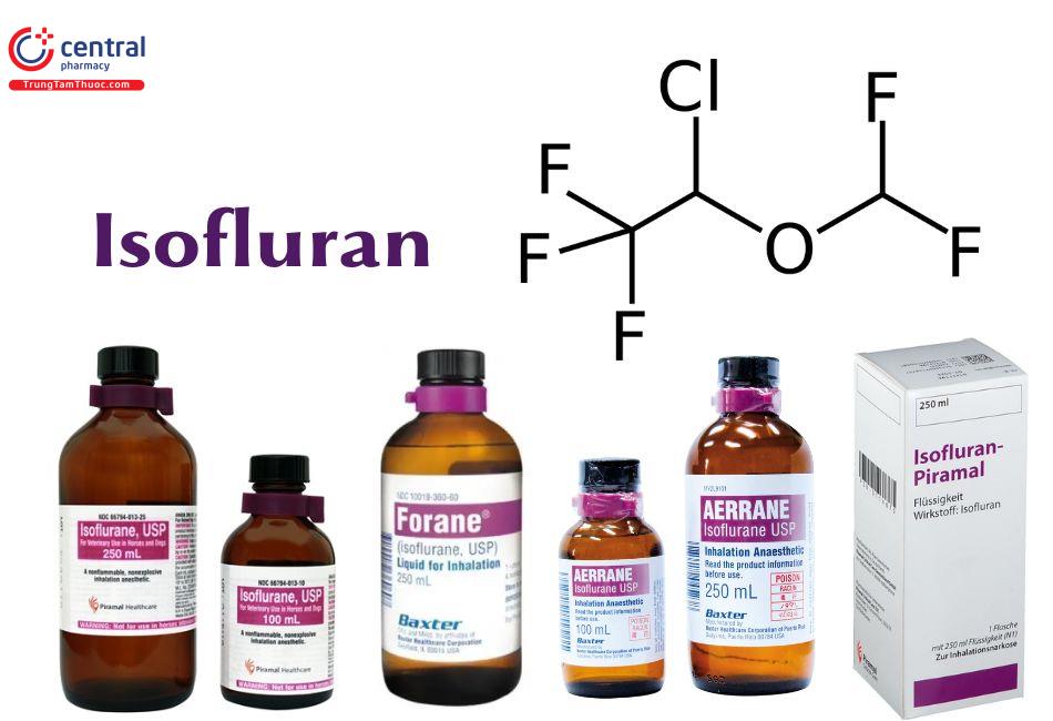 Chế phẩm chứa thuốc gây mê Isofluran