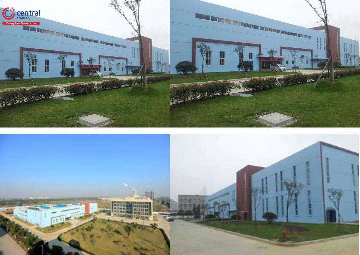 Jiangsu Kingsley Pharmaceutical - Trung Quốc