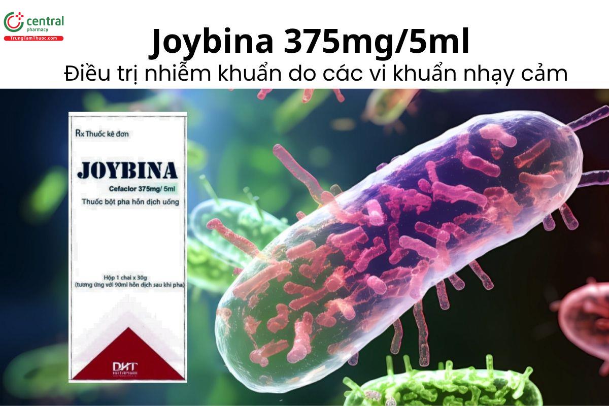 Thuốc Joybina 375mg/5ml - Điều trị nhiễm khuẩn do các vi khuẩn nhạy cảm