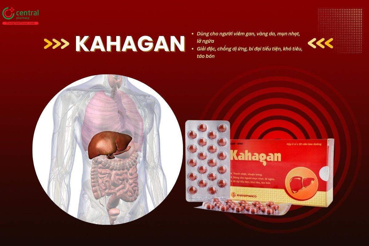 Thuốc Kahagan Khaihapharco phòng và điều trị các bệnh về gan
