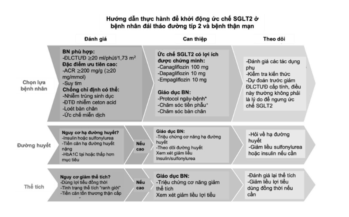 Hình 4. 3. Tiếp cận thực hành để khởi đầu thuốc ức chế thụ thể đồng vận chuyển sodium-glucose (SGLT2) ở bệnh nhân ĐTĐ và BТМ