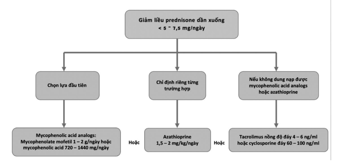 Hình 4. 10. Điều trị duy trì đối với viêm thận lupus nhóm III và nhóm IV