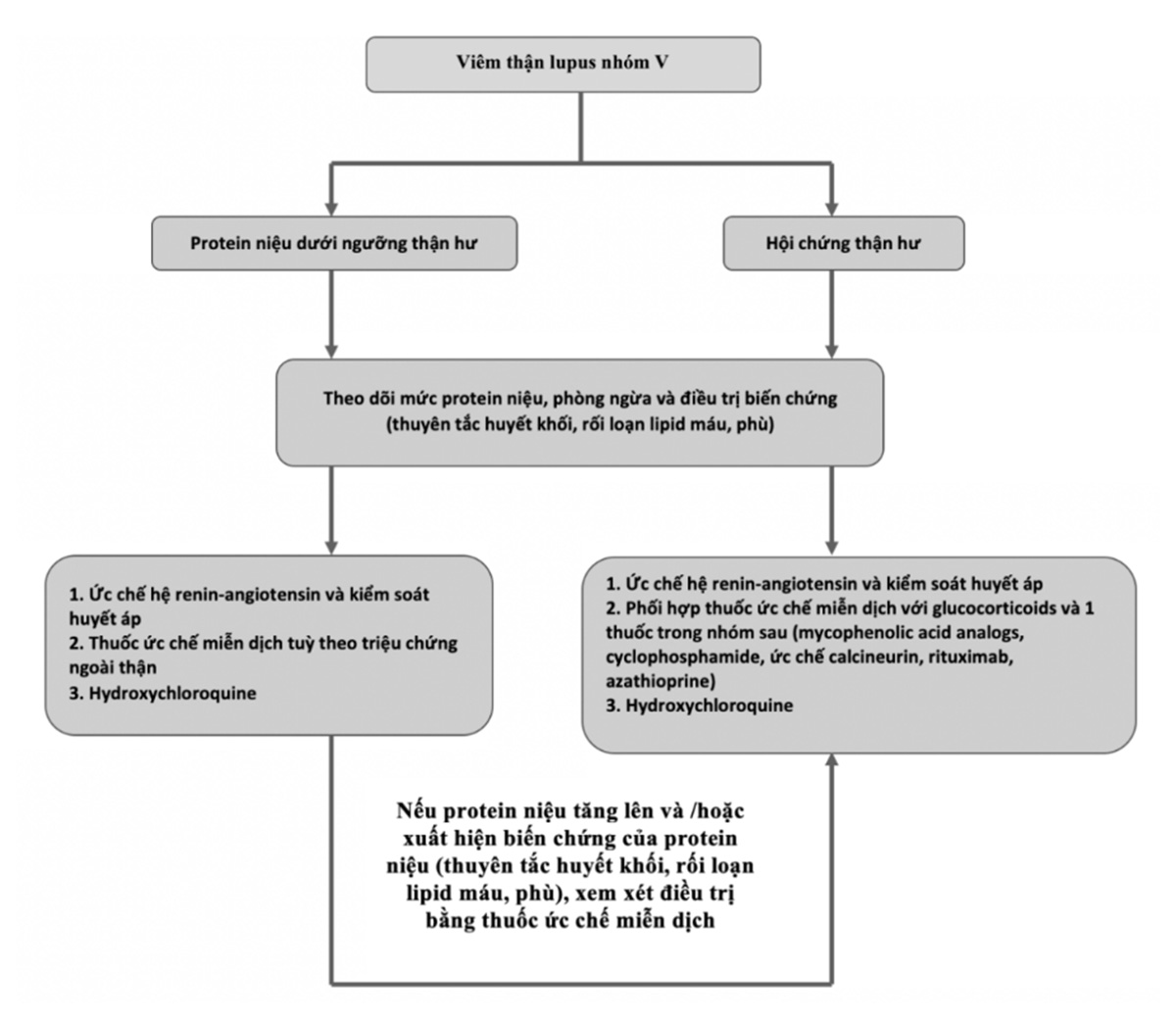 Hình 4. 11. Điều trị đối với viêm thận lupus nhóm V