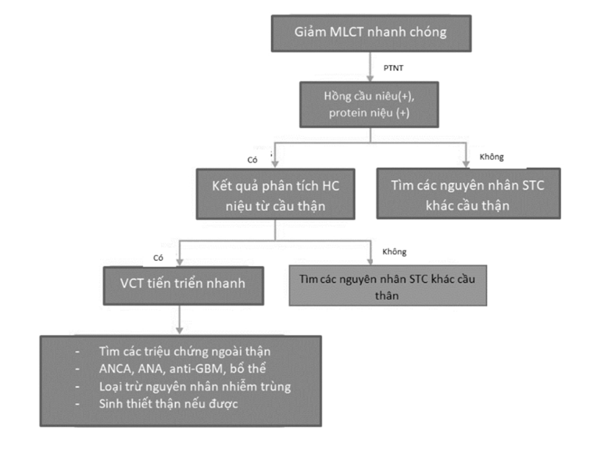 Hình 4. 14. Lược đồ tiếp cận chẩn đoán VCT liên quan ANCA