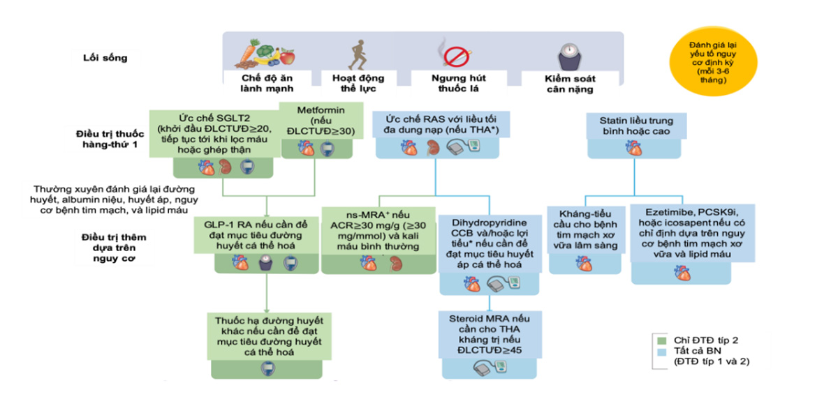 Hình 4. 2. Tiếp cận toàn diện để cải thiện kết cục của bệnh nhân ĐTĐ và BTM