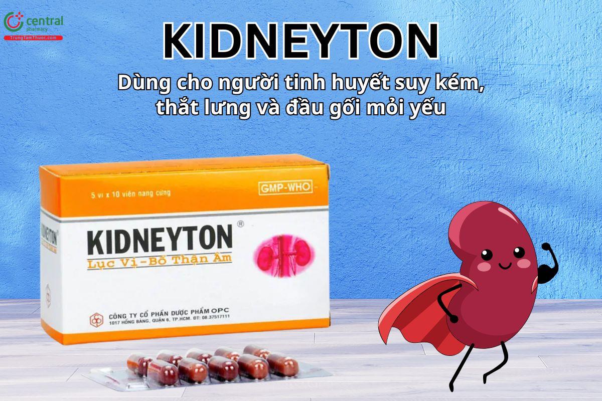 Kidneyton Lục vị - Bổ thận âm dùng cho người tinh huyết suy kém