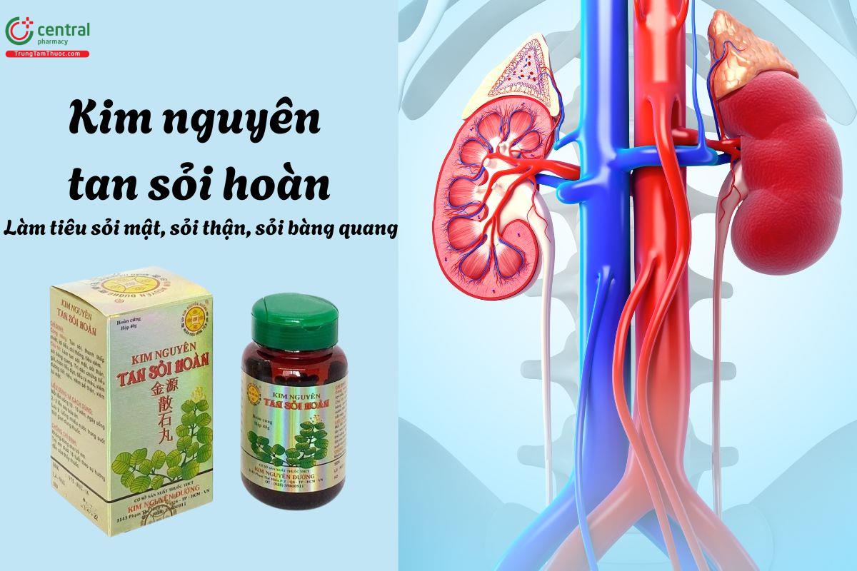 Thuốc Kim Nguyên Tan Sỏi Hoàn - Điều trị sỏi thận, sỏi bàng quang