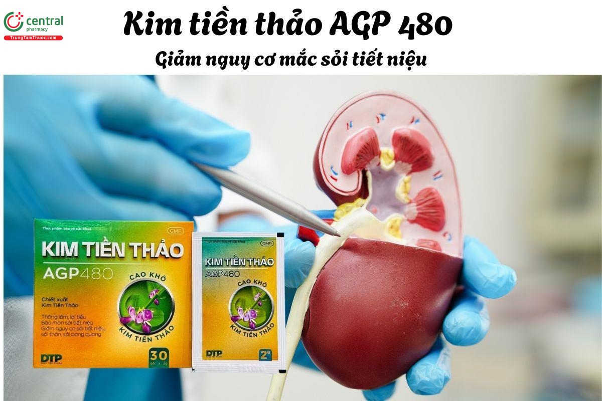Kim tiền thảo AGP 480 - Giúp lợi tiểu và thông đường tiểu