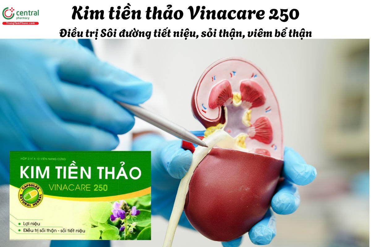 Thuốc Kim tiền thảo Vinacare 250 - Điều trị sỏi thận, sỏi bàng quang