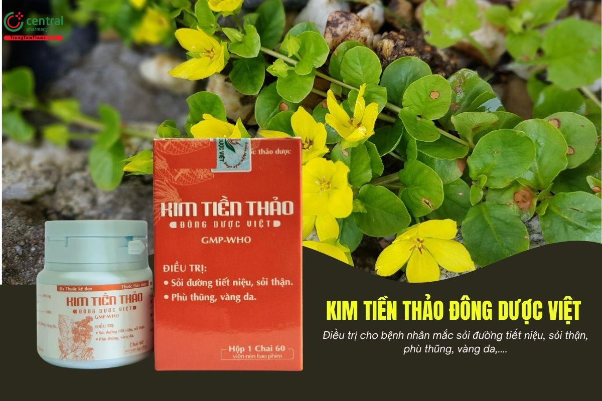 Thuốc Kim Tiền Thảo Đông Dược Việt điều trị sỏi thận, viêm túi mật