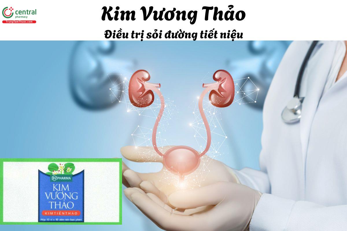 Thuốc Kim Vương Thảo - Thanh nhiệt, trừ thấp, lợi tiểu