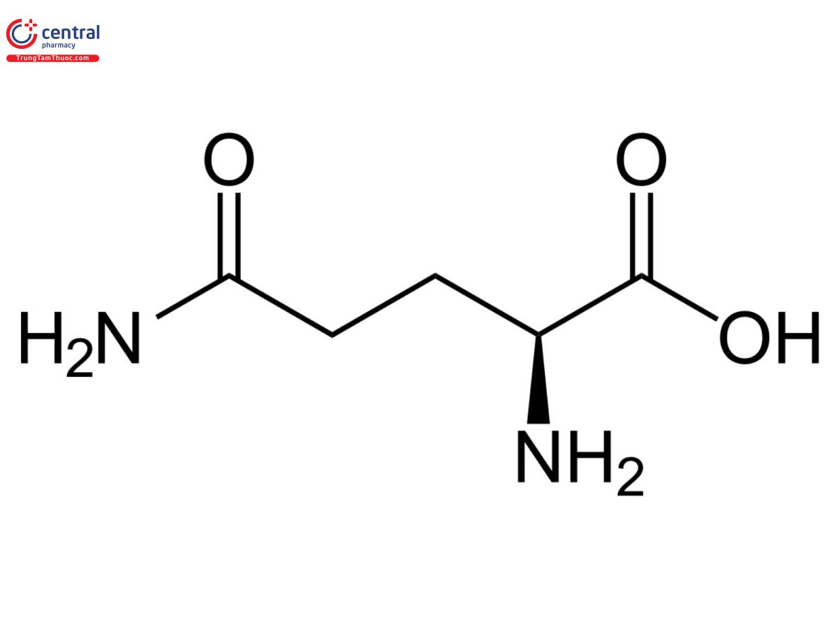 Công thức cấu tạo của L-Glutamine