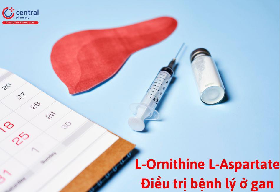 L-Ornithine L-Aspartate điều trị bệnh lý não gan