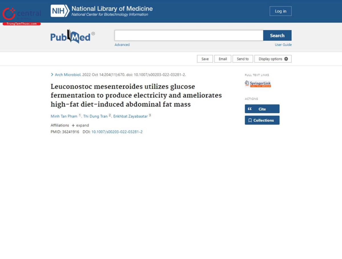 Nghiên cứu mới về Leuconostoc Mesenteroides