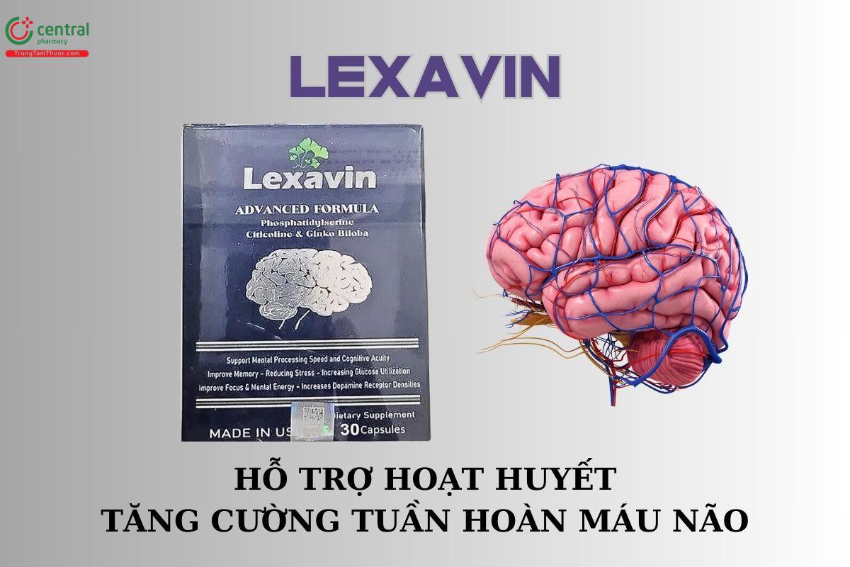 Thuốc bổ não Lexavin - Hỗ trợ hoạt huyết, tăng cường tuần hoàn máu não