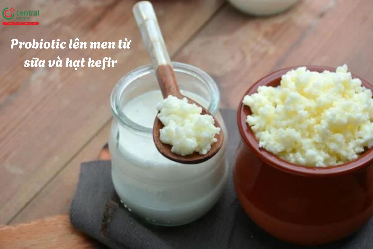 Probiotic lên men từ sữa và hạt kefir