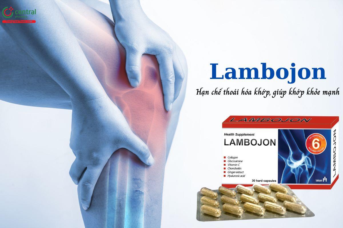 Lambojon - Hạn chế thoái hóa khớp, giúp khớp khỏe mạnh
