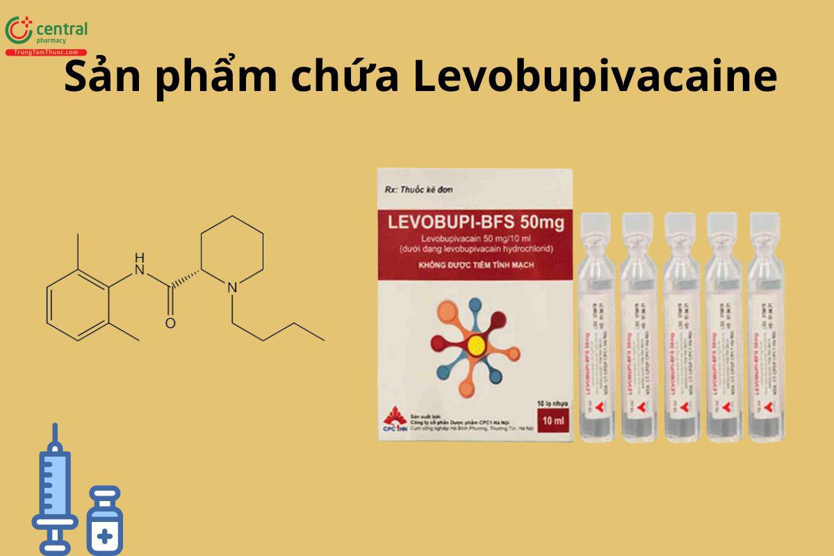 Sản phẩm chứa Levobupivacaine