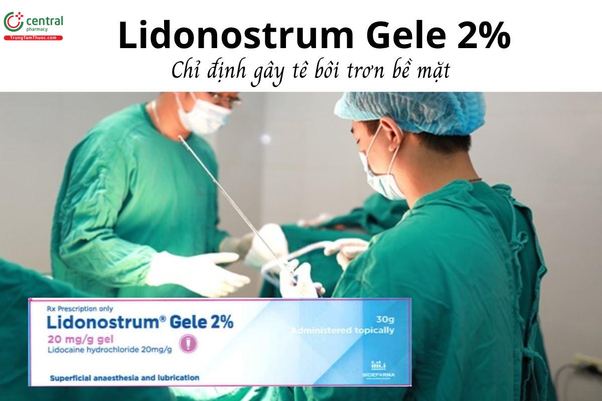 Thuốc Lidonostrum Gele 2% - Chỉ định gây tê bôi trơn bề mặt
