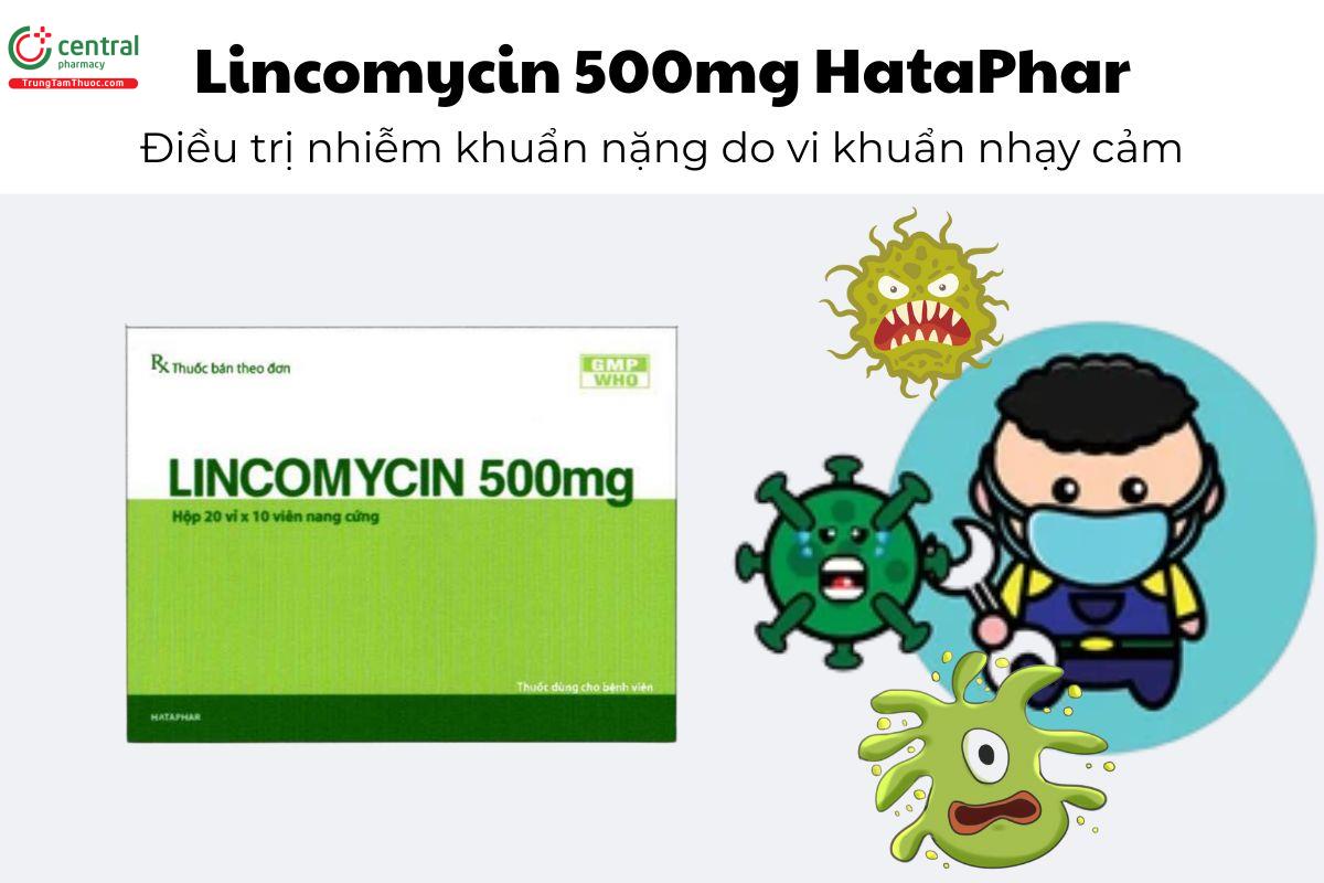 Thuốc Lincomycin 500mg HataPhar - Điều trị nhiễm khuẩn nặng do vi khuẩn nhạy cảm