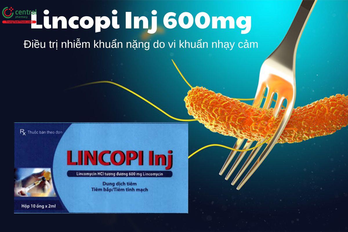 Thuốc Lincopi Inj 600mg - Điều trị nhiễm khuẩn nặng do vi khuẩn nhạy cảm