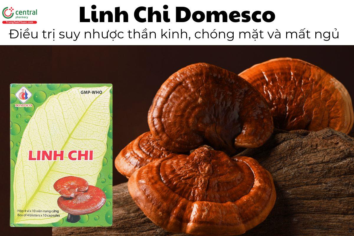 Thuốc Linh Chi Domesco - Điều trị suy nhược thần kinh, chóng mặt và mất ngủ