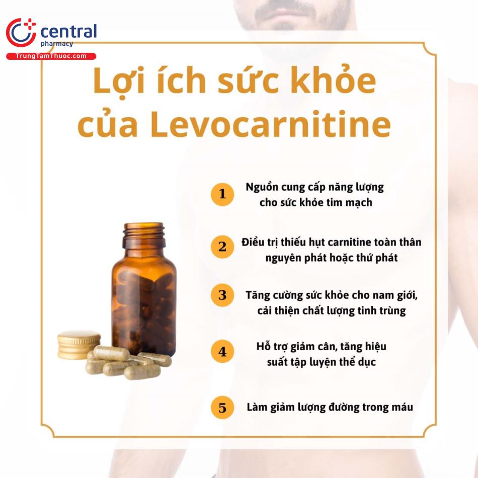 Lợi ích của Levocarnitine với sức khỏe