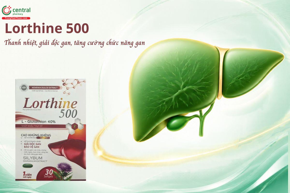 Lorthine 500 - Hỗ trợ thanh nhiệt, giải độc gan, bảo vệ gan