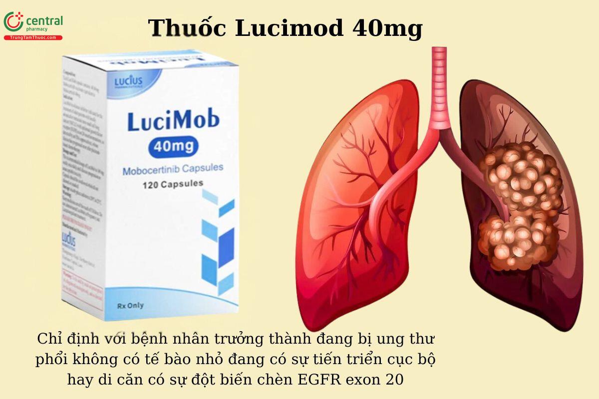 Chỉ định của thuốc Lucimod 40mg