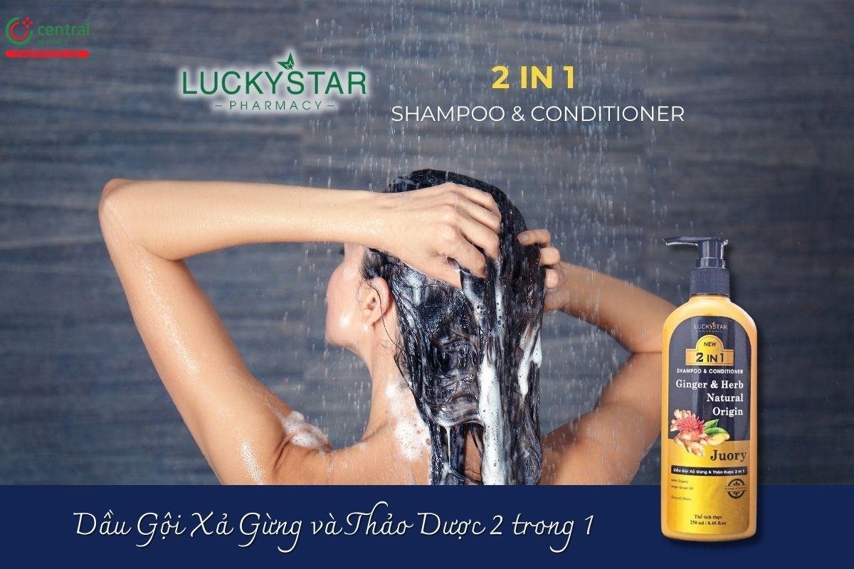 Dầu Gội Xả Gừng & Thảo Dược 2 in 1 Lucky Star Juory Giúp làm ấm da đầu, tăng cường độ chắc khỏe cho tóc, hỗ trợ giảm tình trạng rụng tóc và làm sạch gàu, ngăn ngừa nấm.