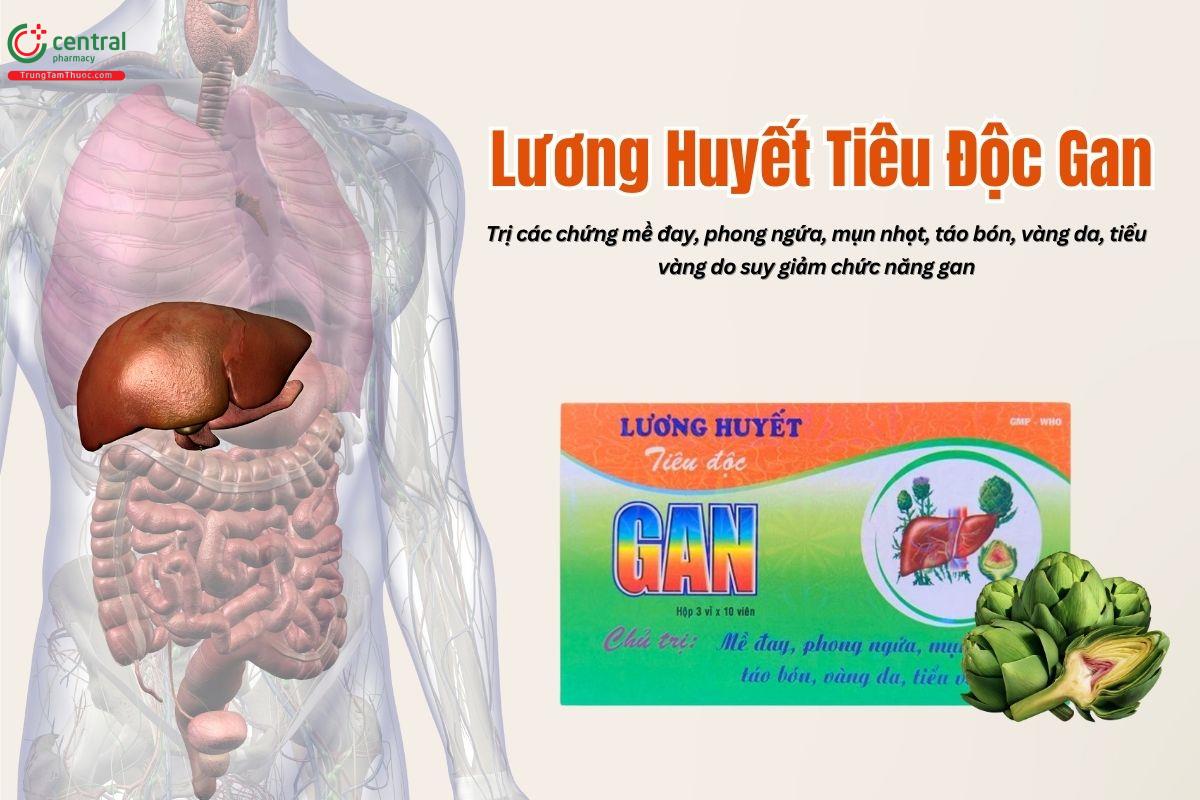 Thuốc Lương Huyết Tiêu Độc Gan tăng cường chức năng, hồi phục gan