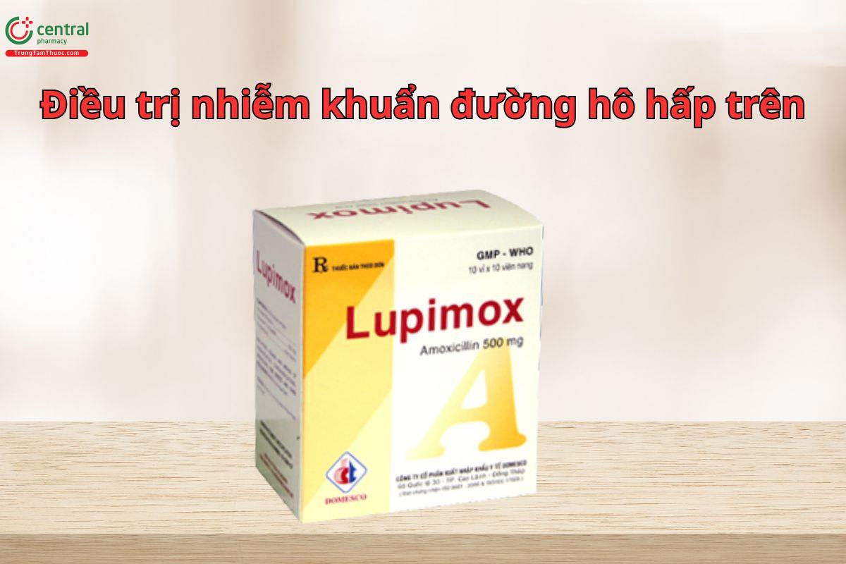 Thuốc Lupimox điều trị nhiễm trùng đường hô hấp trên và dưới do vi khuẩn