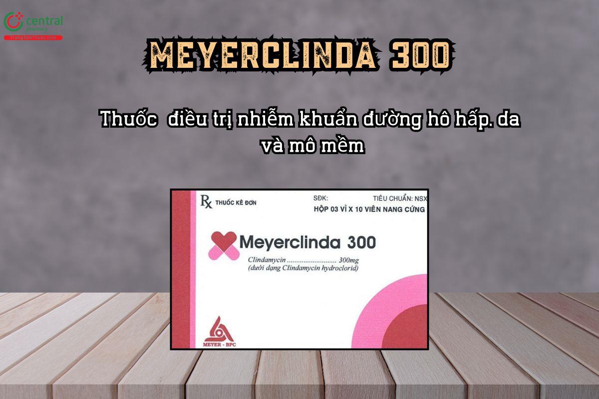MEYERCLINDA 300 chứa kháng sinh Clindamycin thuộc nhóm lincosamid