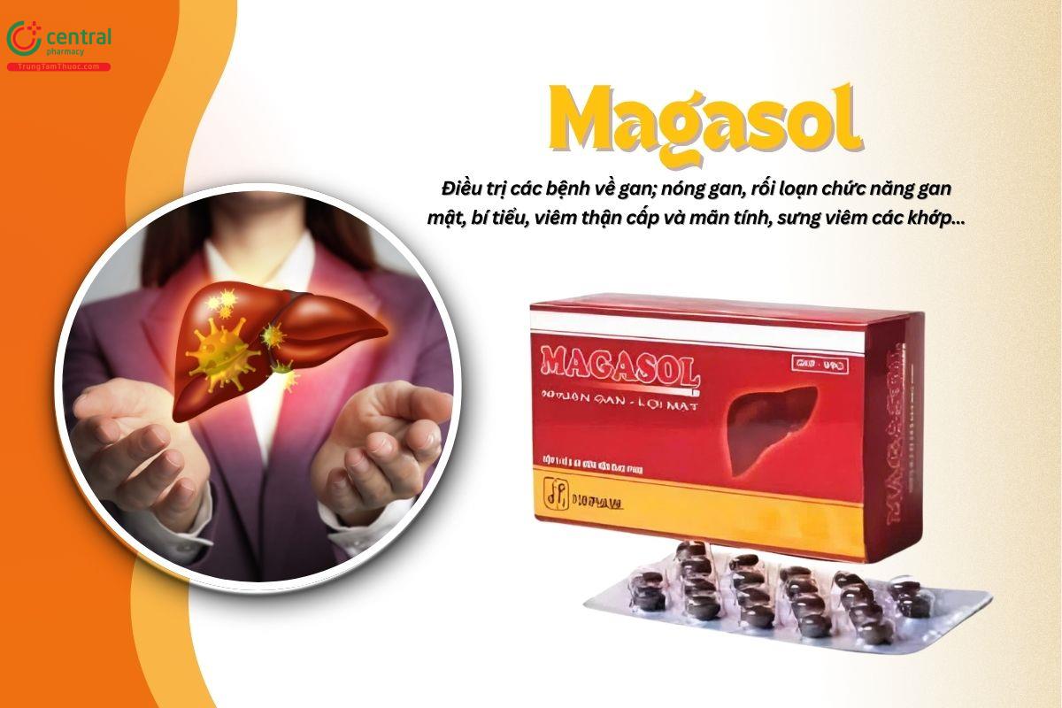Thuốc Magasol Foripharm thông mật, lợi tiểu, mát gan, chống viêm