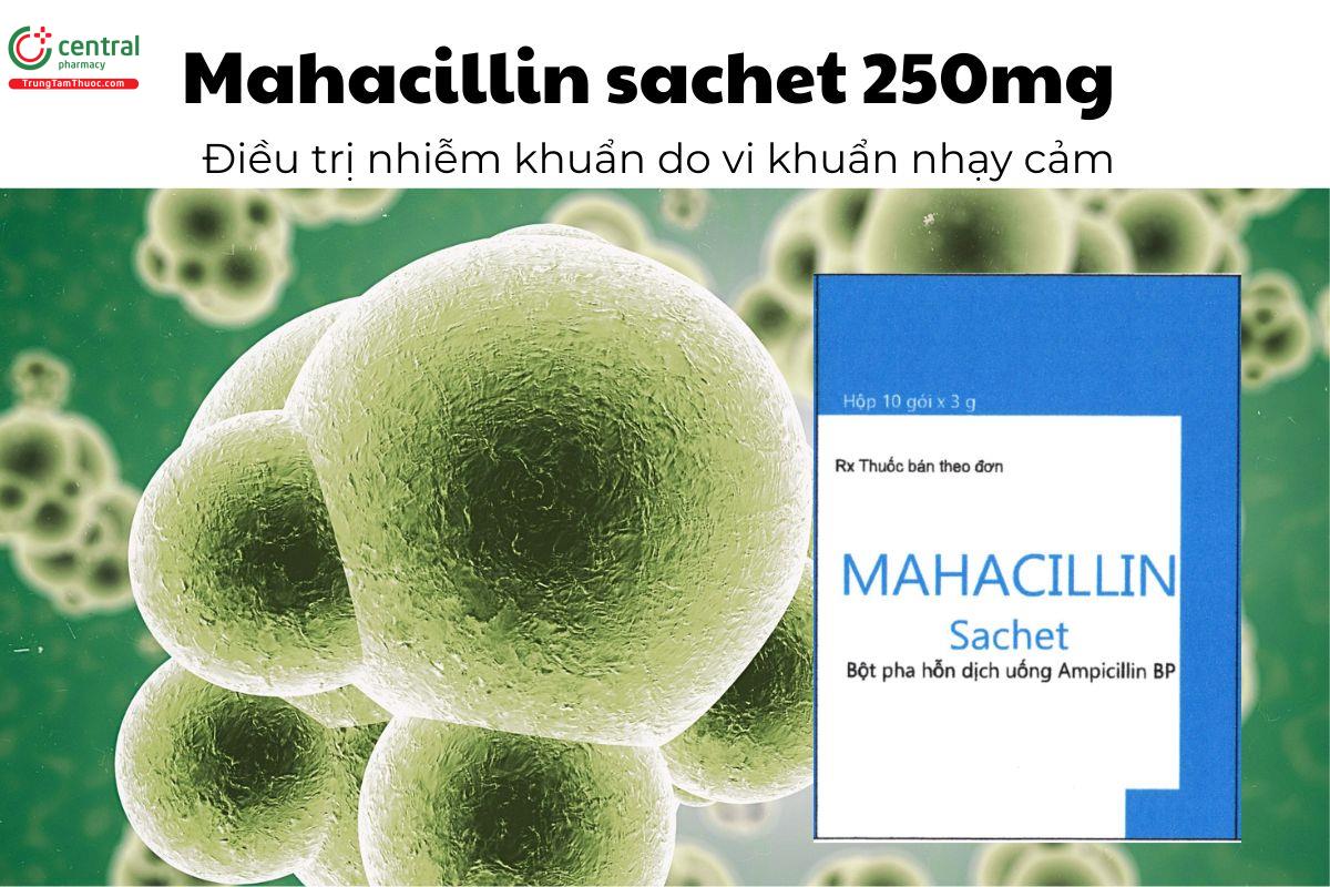 Thuốc Mahacillin sachet 250mg - Điều trị nhiễm khuẩn do vi khuẩn nhạy cảm