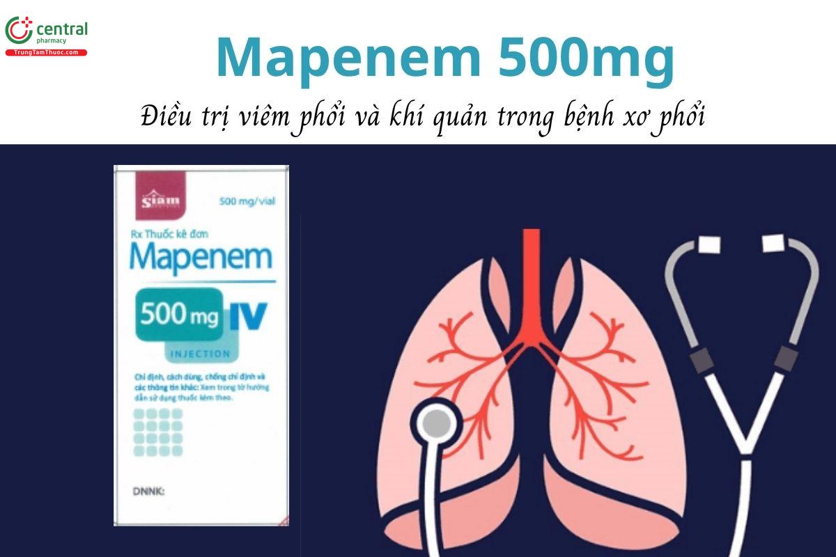 Thuốc Mapenem 500mg - Điều trị viêm phổi và khí quản trong bệnh xơ phổi 