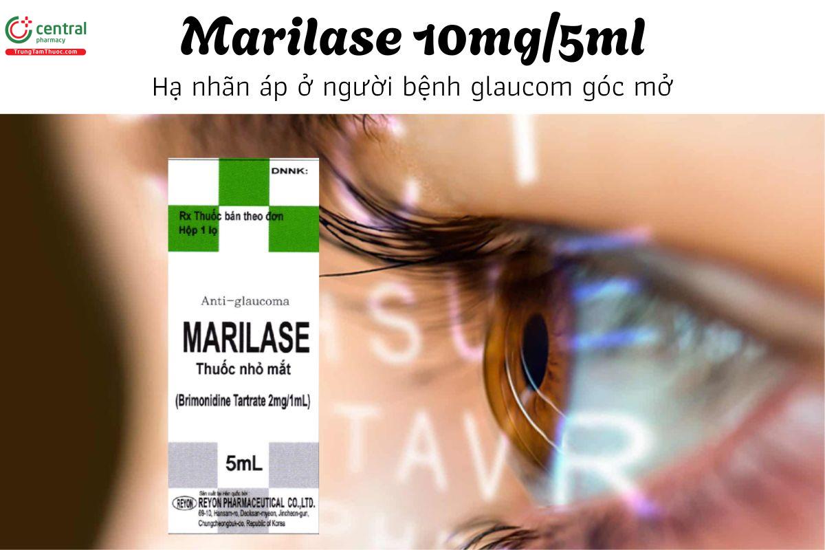 Thuốc Marilase 10mg/5ml - Hạ nhãn áp ở người bệnh glaucom góc mở