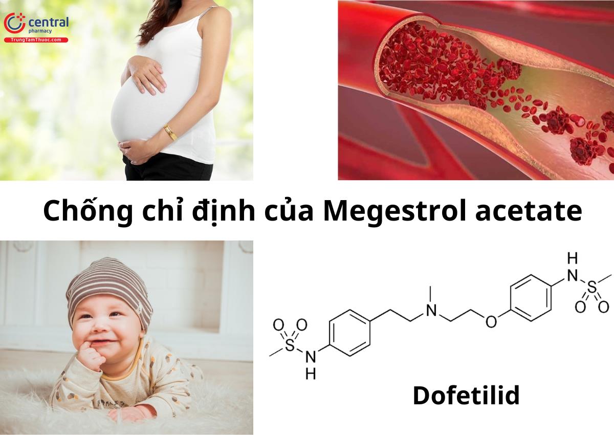 Chống chỉ định của Megestrol acetate