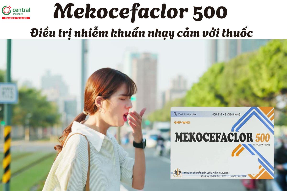 Thuốc Mekocefaclor 500 - Điều trị nhiễm khuẩn đường hô hấp, tiết niệu