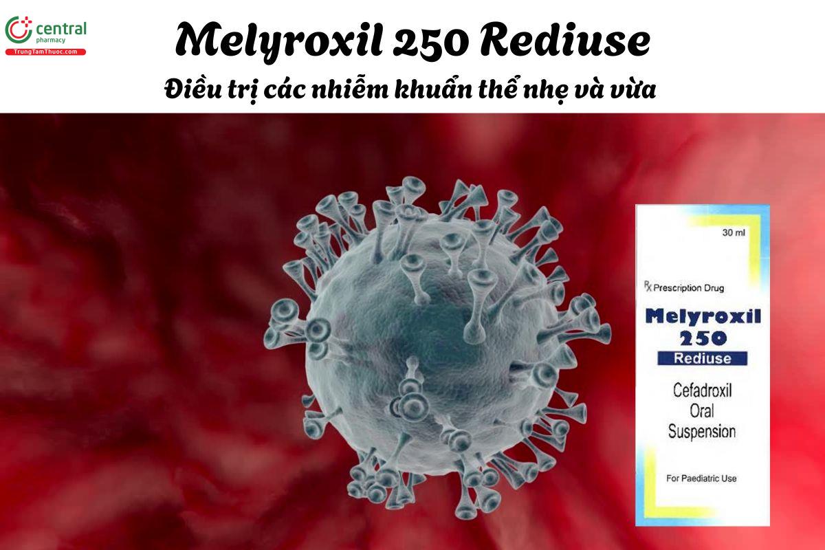 Thuốc Melyroxil 250 Rediuse - Điều trị nhiễm khuẩn do vi khuẩn nhạy cảm