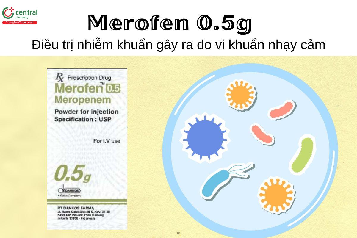 Thuốc Merofen 0.5g - Điều trị nhiễm khuẩn gây ra do vi khuẩn nhạy cảm