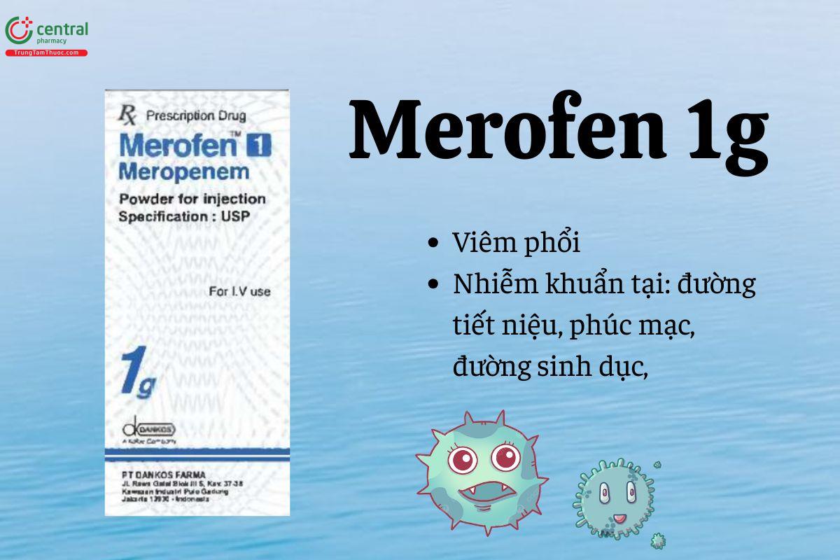Thuốc Merofen 1g - Điều trị nhiễm khuẩn do vi khuẩn nhạy cảm với Meropenem
