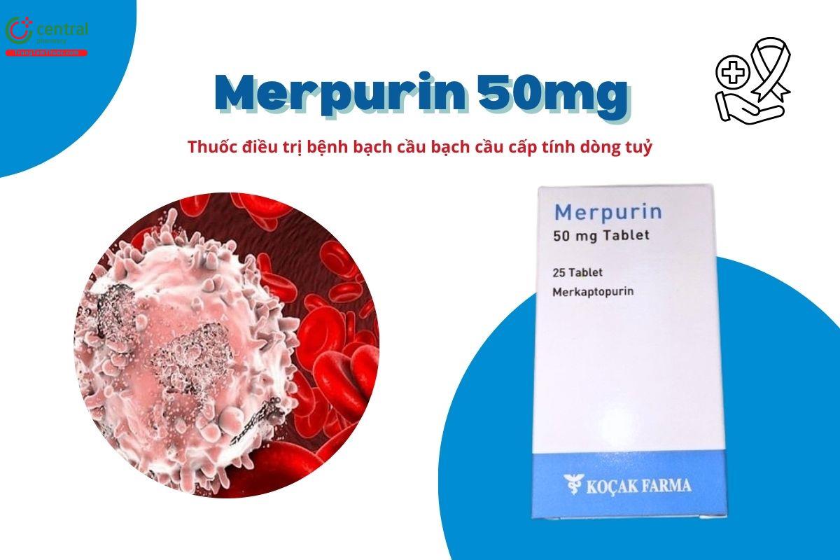 Thuốc Merpurin 50mg điều trị bệnh bạch cầu lymphocytic cấp tính