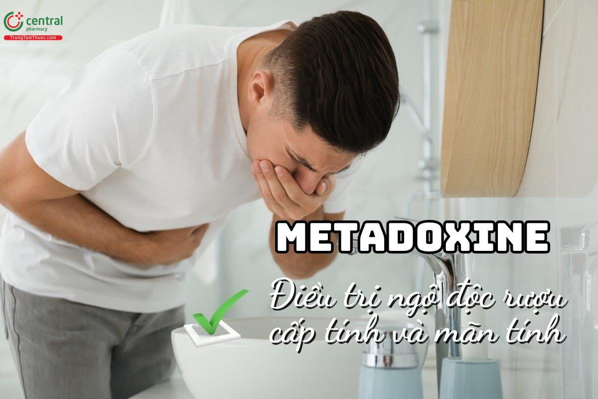 Metadoxine điều trị ngộ độc rượu cấp, gan nhiễm mỡ