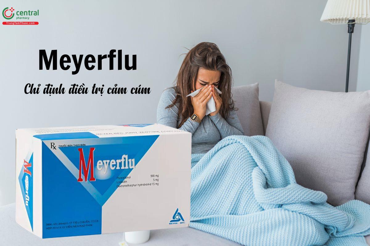 Chỉ định Thuốc Meyerflu