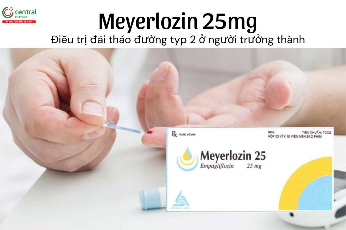 Thuốc Meyerlozin 25mg - Điều trị đái tháo đường typ 2 ở người trưởng thành