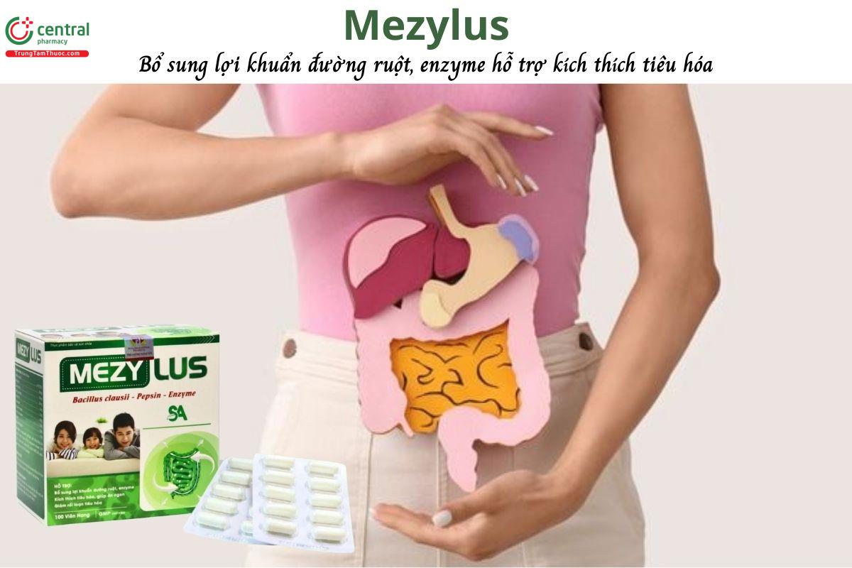 Mezylus - Bổ sung lợi khuẩn đường ruột, kích thích tiêu hóa