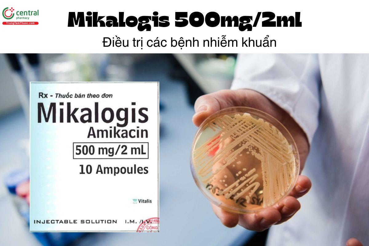 Thuốc Mikalogis 500mg/2ml - Điều trị các bệnh nhiễm khuẩn