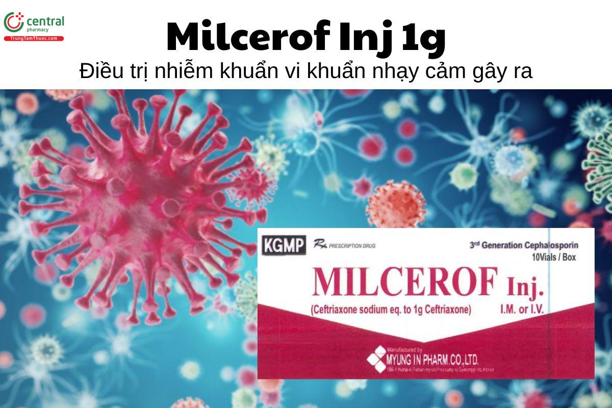 Thuốc Milcerof Inj 1g - Điều trị nhiễm khuẩn vi khuẩn nhạy cảm gây ra